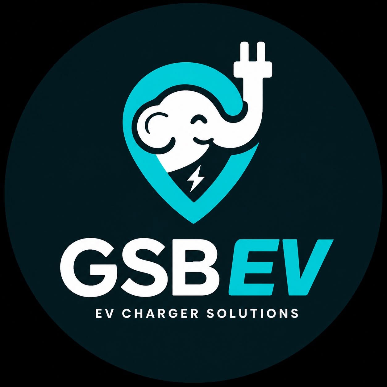 GSB EV Facebook page